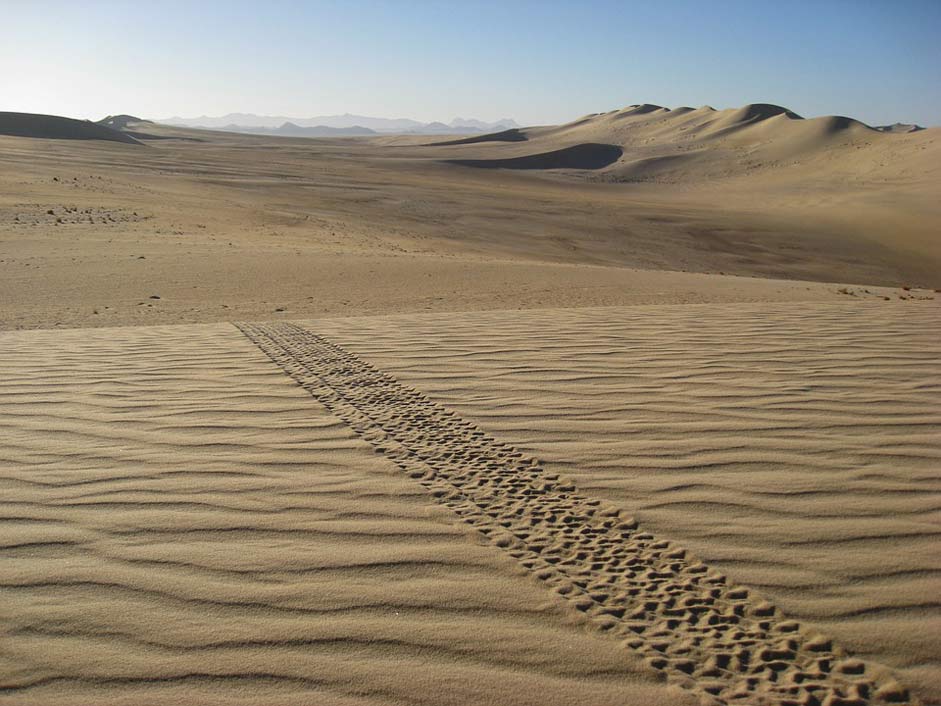 Sand Desert Sahara Algeria