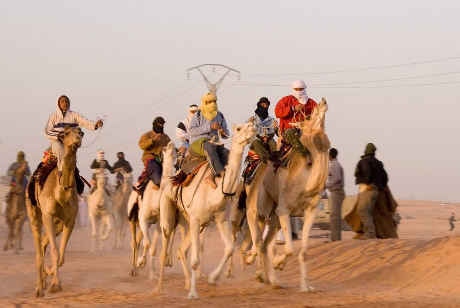 Desert Algeria Race Camel