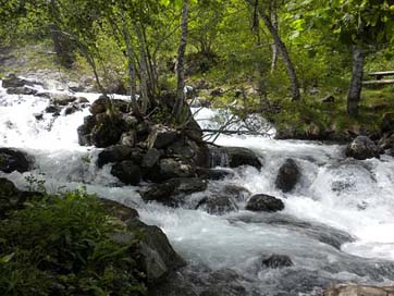Spain Forest Streams Andorra Picture