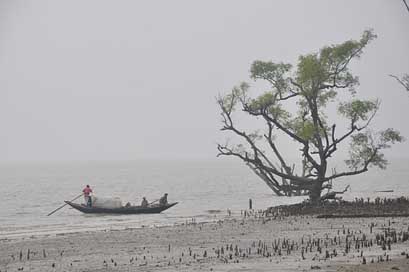 Boat Tourism Sundarban Sea Picture