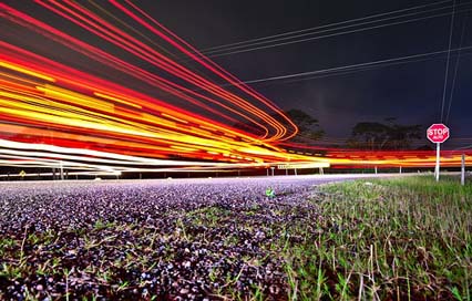 Traffic Transportation-System Long-Exposure Road Picture