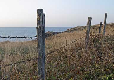 Fence-Posts Post Fence Barbed-Wire Picture