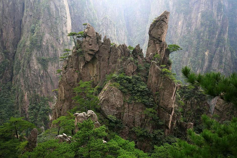Jun-Rock Cypress Huangshan China