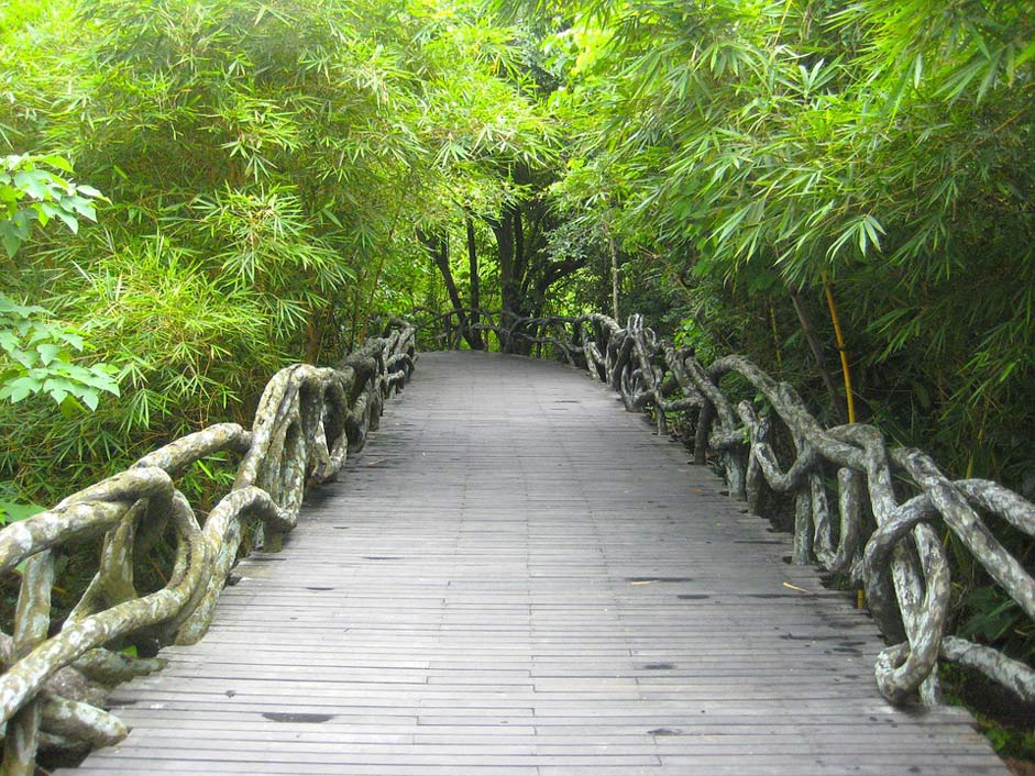 Rainforest Park China Yanoda