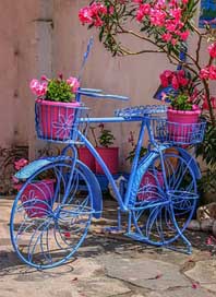 Flower Colorful Bike Basket Picture