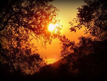 Sun Water Sea Sunset Picture