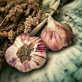 Garlic Aromatic Ingredient Spice Picture