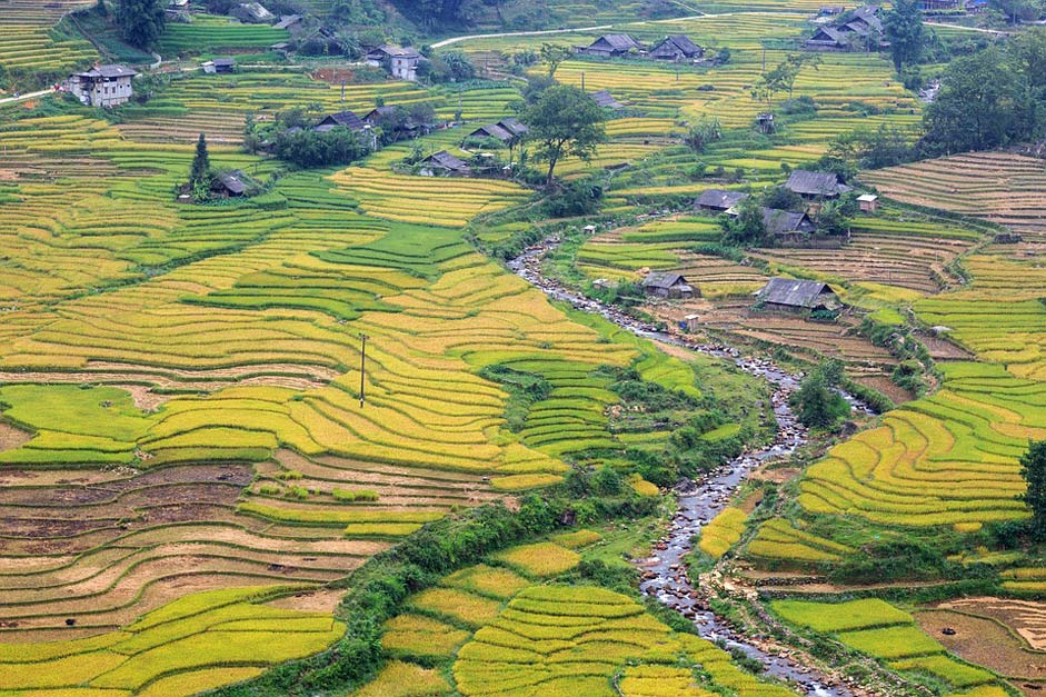 Landscape Vietnam Lao-Cai Sapa