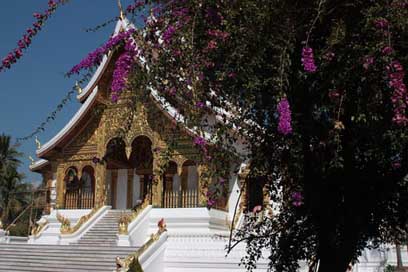 Asia  Laos Temple Picture