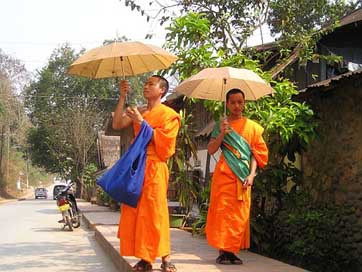 Monks Parasol Orange Buddhists Picture