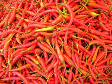 Chilli-Pepper Laos Spices Sharp Picture