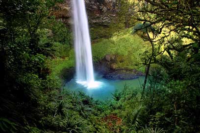 Bridal-Veil-Fall Waterfall New-Zealand Water-Fall Picture