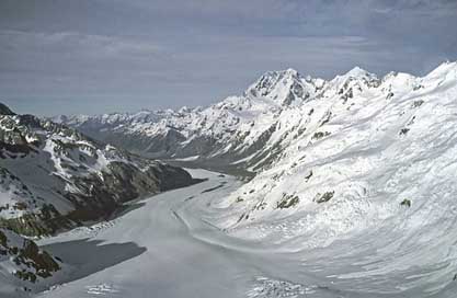 New-Zealand Mountains Glacier Franz-Josef-Glacier Picture