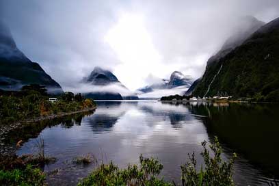 New-Zealand Morning Fog Landscape Picture