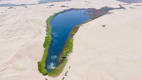 Ica Lake Peru Desert Picture