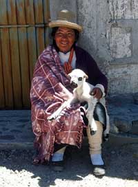 Peruvian Andes Peru Woman Picture