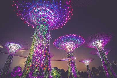 Artificial-Trees Buildings Illumination Singapore Picture