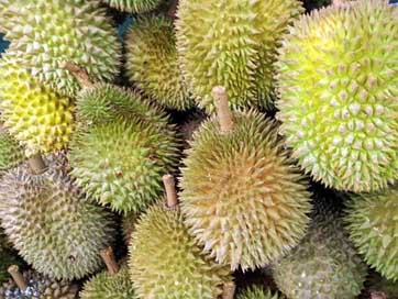 Singapore Juicy Fruit Durian Picture