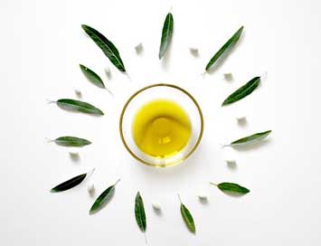 Olive Plant Olive-Leaf Olive-Oil Picture
