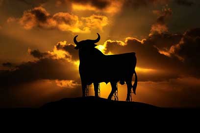 Osborne Mallorca Spain Bull Picture