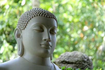 Buddha  Mahamevnawa Sri-Lanka Picture