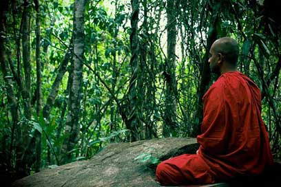 Meditation Sri-Lanka Mahamevnawa Bhikkhu Picture