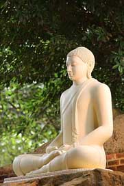 Meditation Statue Sculpture Buddha Picture
