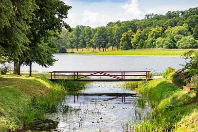 Bridge Water Forest Lake Picture