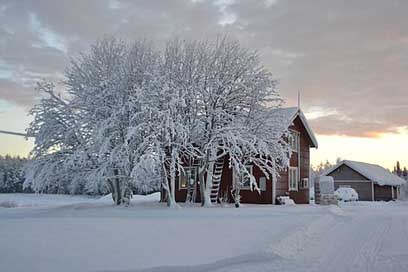 Lapland Landscape Snow Sweden Picture