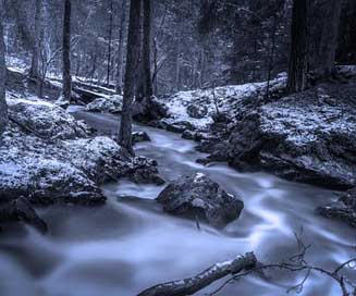 Brook Nature Swedish Winter Picture