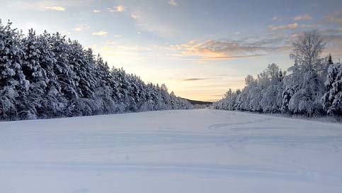 Wintry Snow-Landscape Sweden Lapland Picture