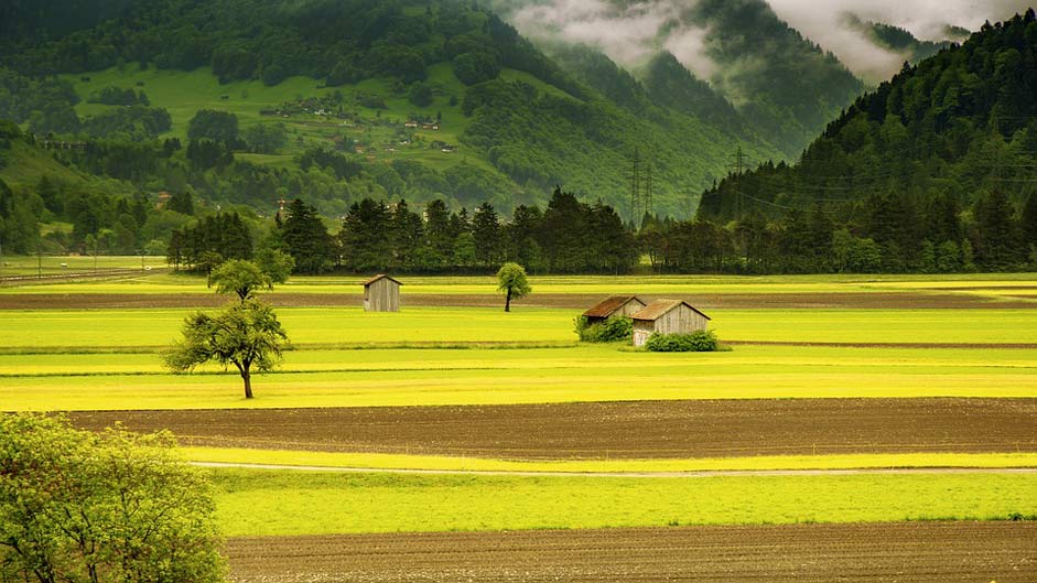 Switzerland Field Meadow Landscape