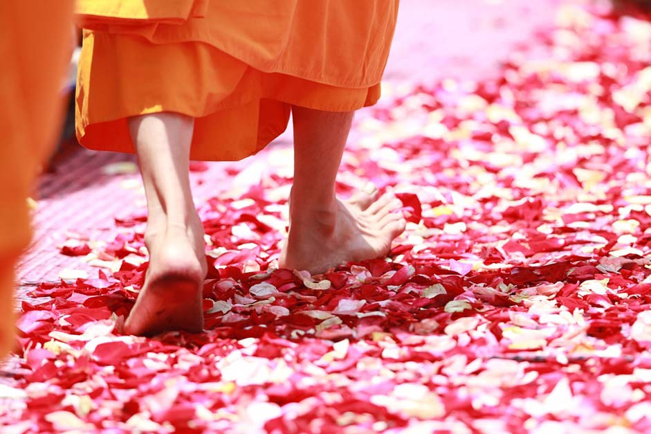 Buddhism Rose-Petals Walking Monk