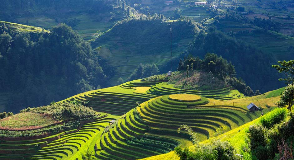 Mu-Cang-Chai-Yen-Bai-Vietnam Terraces Silk Scenery