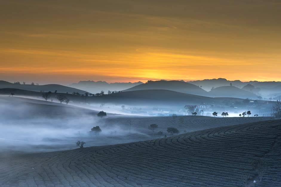 Haze Vietnam Landscape Tea-Plantation