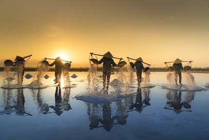 Salt-Harvesting Salt-Field Hon-Khoi Vietnam Picture