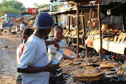 Market Africa Outdoors Dry-Fish Picture