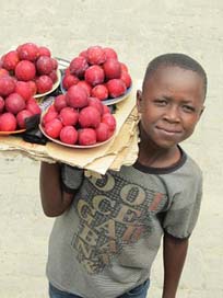 Zambia Fruit Boy Seller Picture