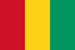 Free Guinea Flag>