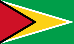 Free Guyana Flag>