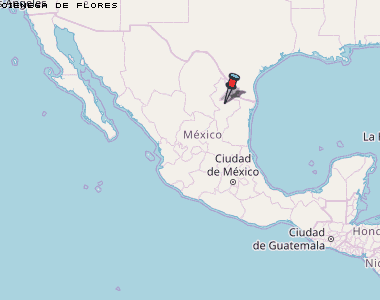 Cienega de Flores Karte Mexiko