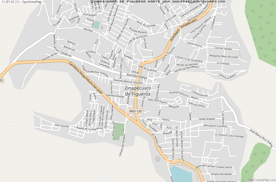 Karte Von Zinapécuaro de Figueroa Mexiko