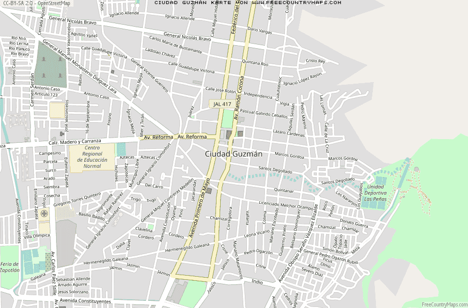 Karte Von Ciudad Guzmán Mexiko