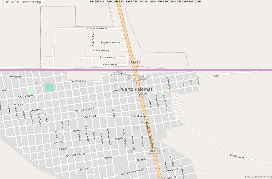 Karte Von Puerto Palomas Mexiko
