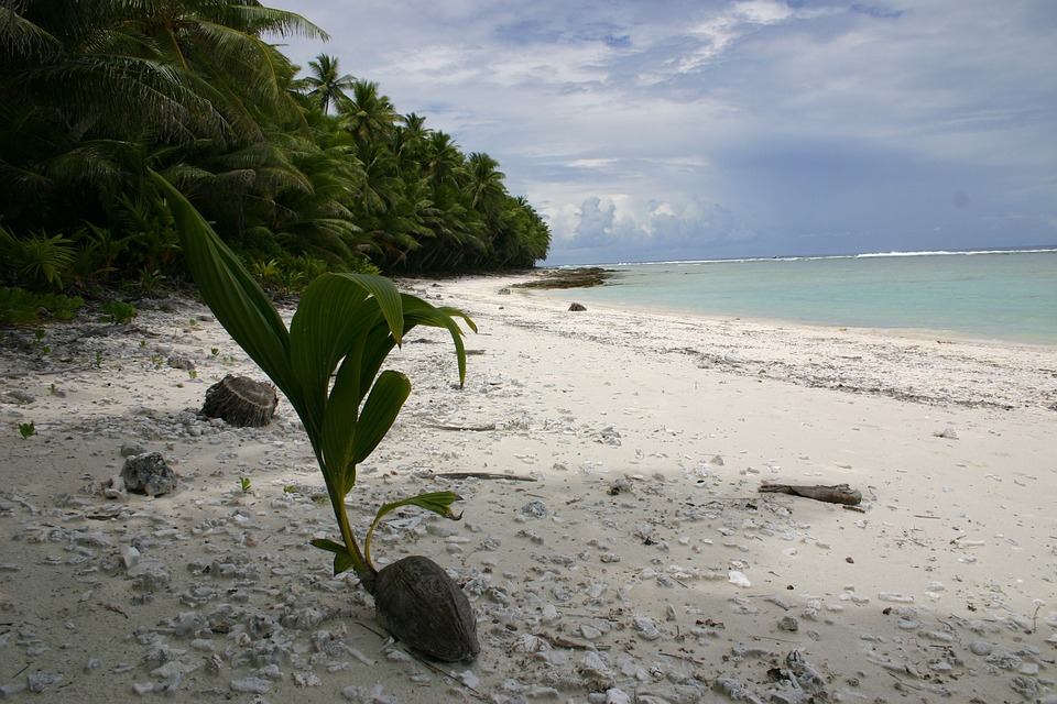 Free American Samoa Picture