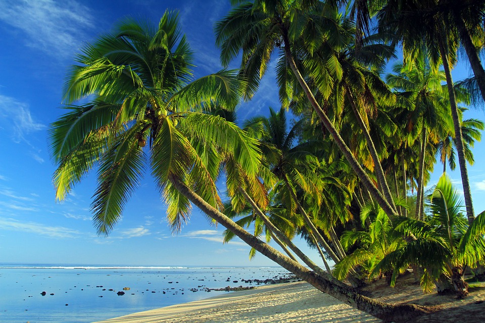 Free Cook Islands Picture