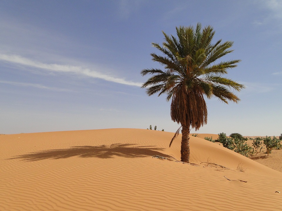 Free Mauritania Picture