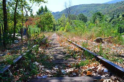 Railroad  Forest Albania Picture