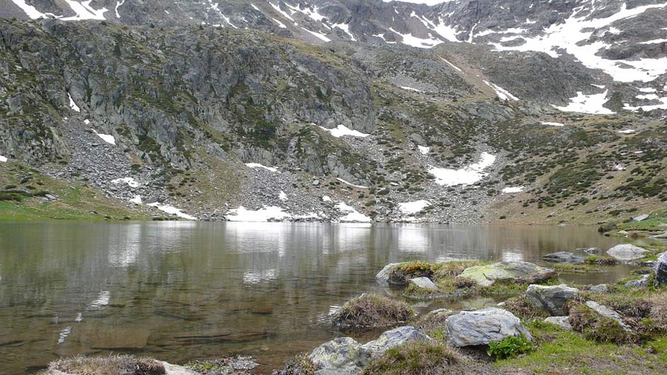 Holiday Mountains Flowers Andorra