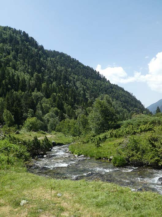 Andorra Mountain Trees River